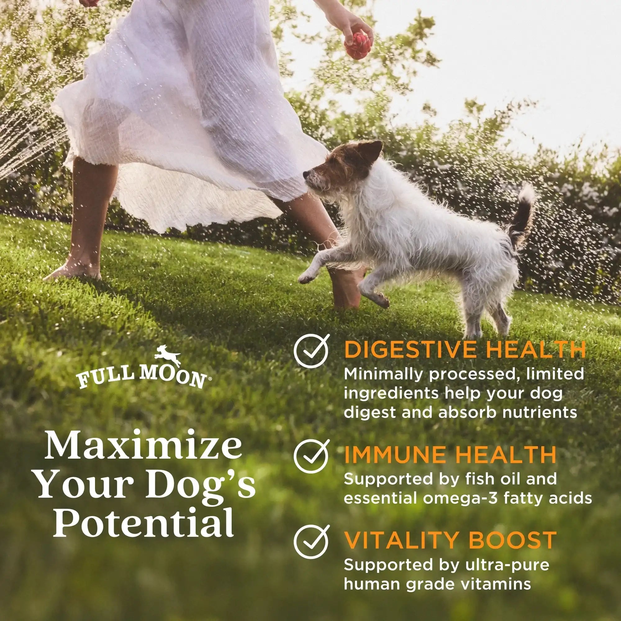 Full Moon Air Dried Beef Dog Food (Premium Feed, 16 Ounces)