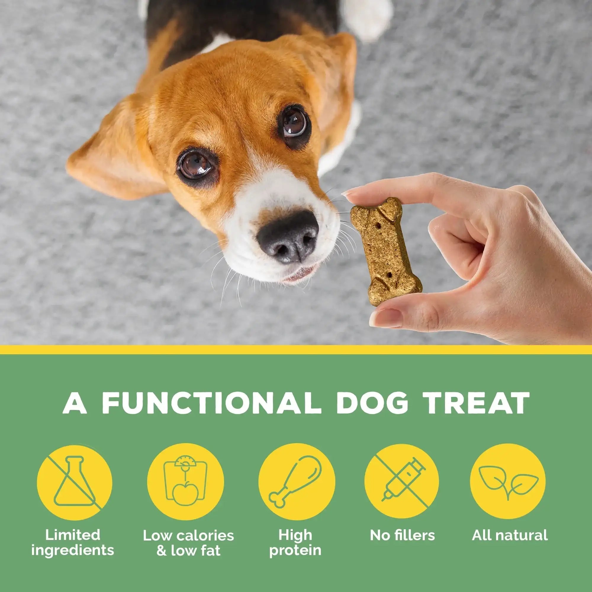 Brutus Bone Broth Biscuits (Chicken) - Healthy Dog Treats -Pet Food Topper - Natural Dog Biscuits with Dog Bone Broth and Real Chicken Meat - 18 Grams of Protein - 8 OZ