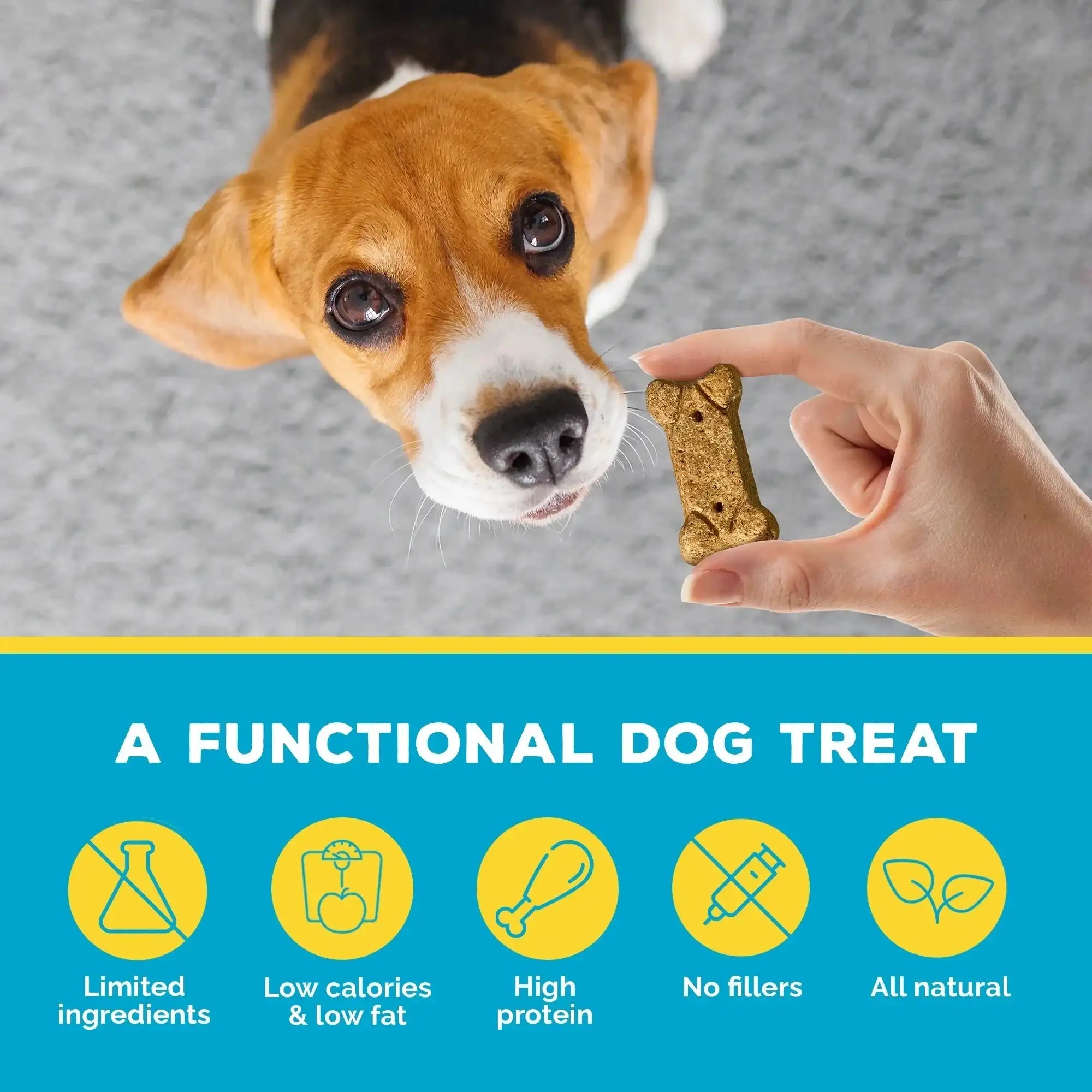 Brutus Bone Broth Biscuits (Beef) - Healthy Dog Treats - Pet Food Topper- Natural Dog Biscuits with Dog Bone Broth and Real Beef for Healthy Joints - 18 Grams of Protein - 8 OZ