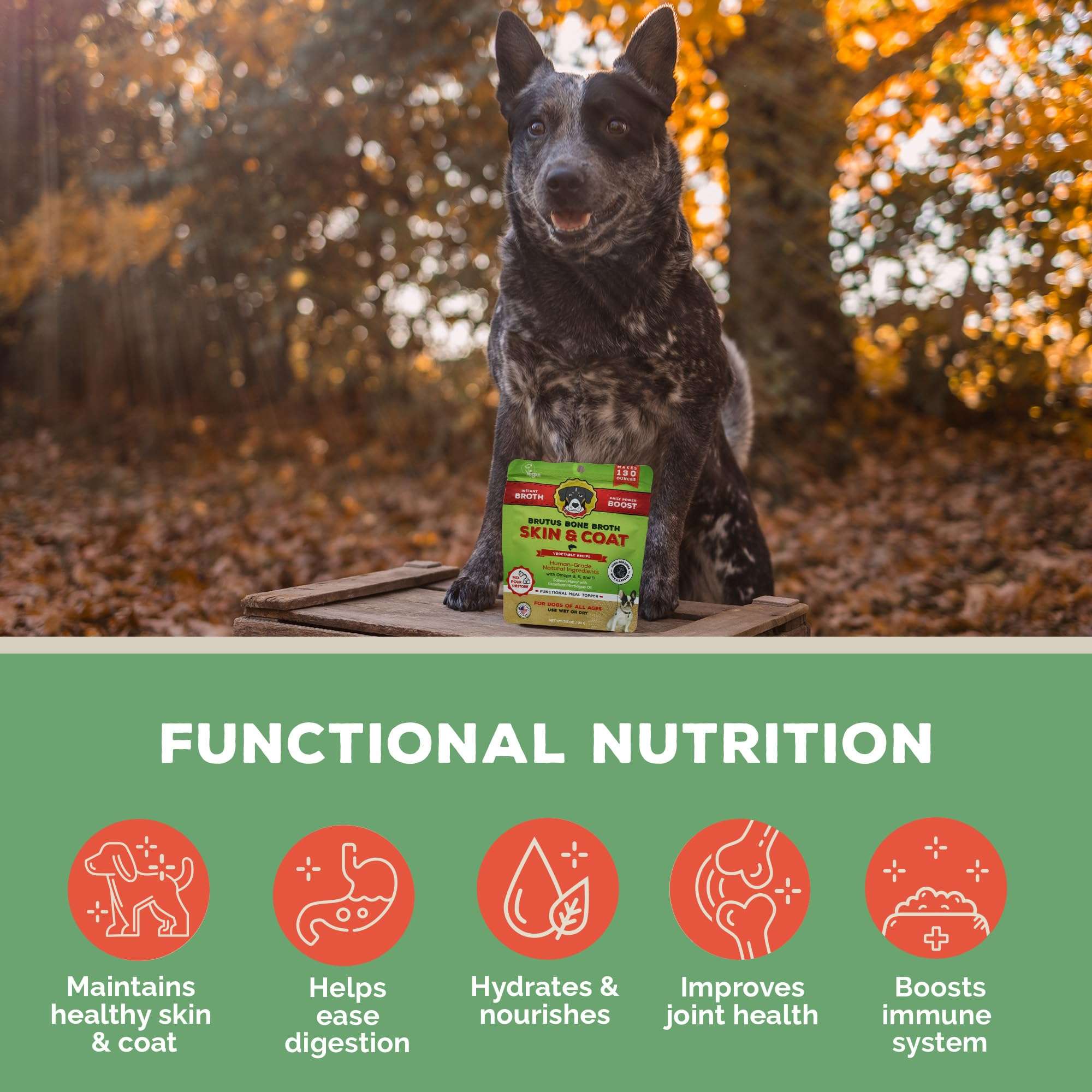 Brutus Broth Skin and Coat Meal Topper for Dogs Mega Pack (Salmon) - Pet Food Topper - Vegetable Broth Powder with Omegas 3, 6 & 9 for Skin and Coat Health - Makes Up to 130 fl oz