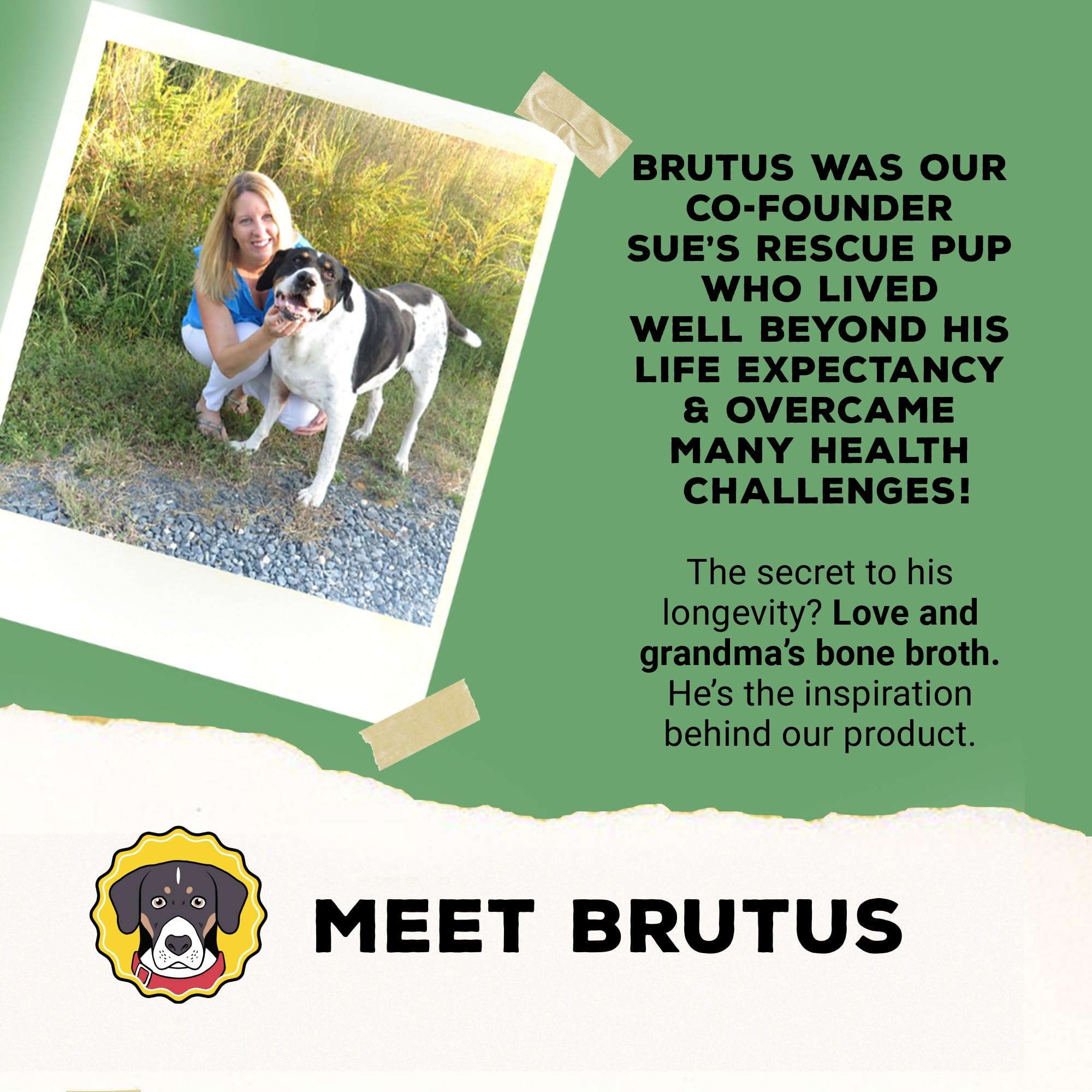 Brutus Broth Skin and Coat Meal Topper for Dogs Mega Pack (Salmon) - Pet Food Topper - Vegetable Broth Powder with Omegas 3, 6 & 9 for Skin and Coat Health - Makes Up to 130 fl oz