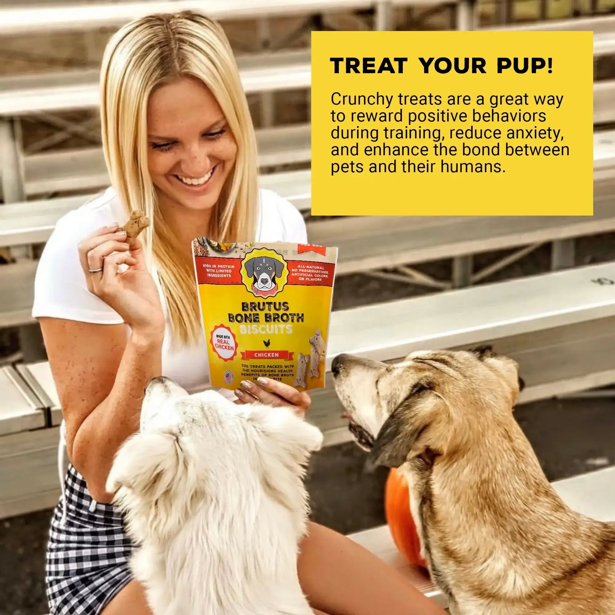 Brutus Bone Broth Biscuits (Chicken) - Healthy Dog Treats -Pet Food Topper - Natural Dog Biscuits with Dog Bone Broth and Real Chicken Meat - 18 Grams of Protein - 8 OZ