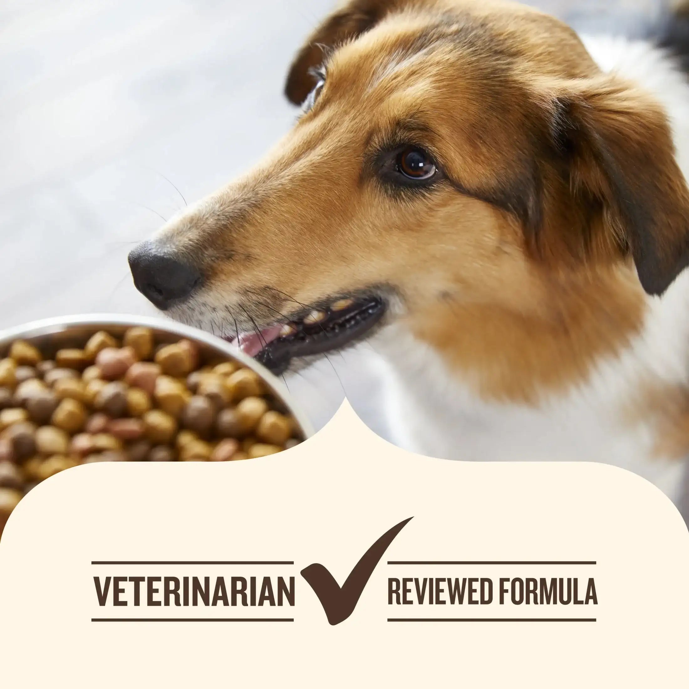 Nutrish Large Breed Real Beef, Pea, Carrot & Brown Rice Recipe Whole Health Blend Dry Dog Food, 14 lb. Bag (Rachael Ray)