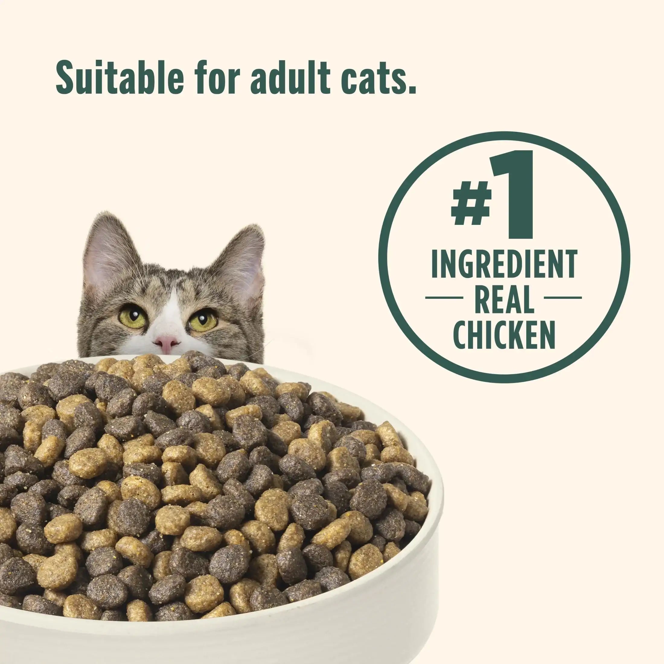 Nutrish Indoor Complete Chicken, Lentils & Salmon Recipe Dry Cat Food (Rachael Ray)