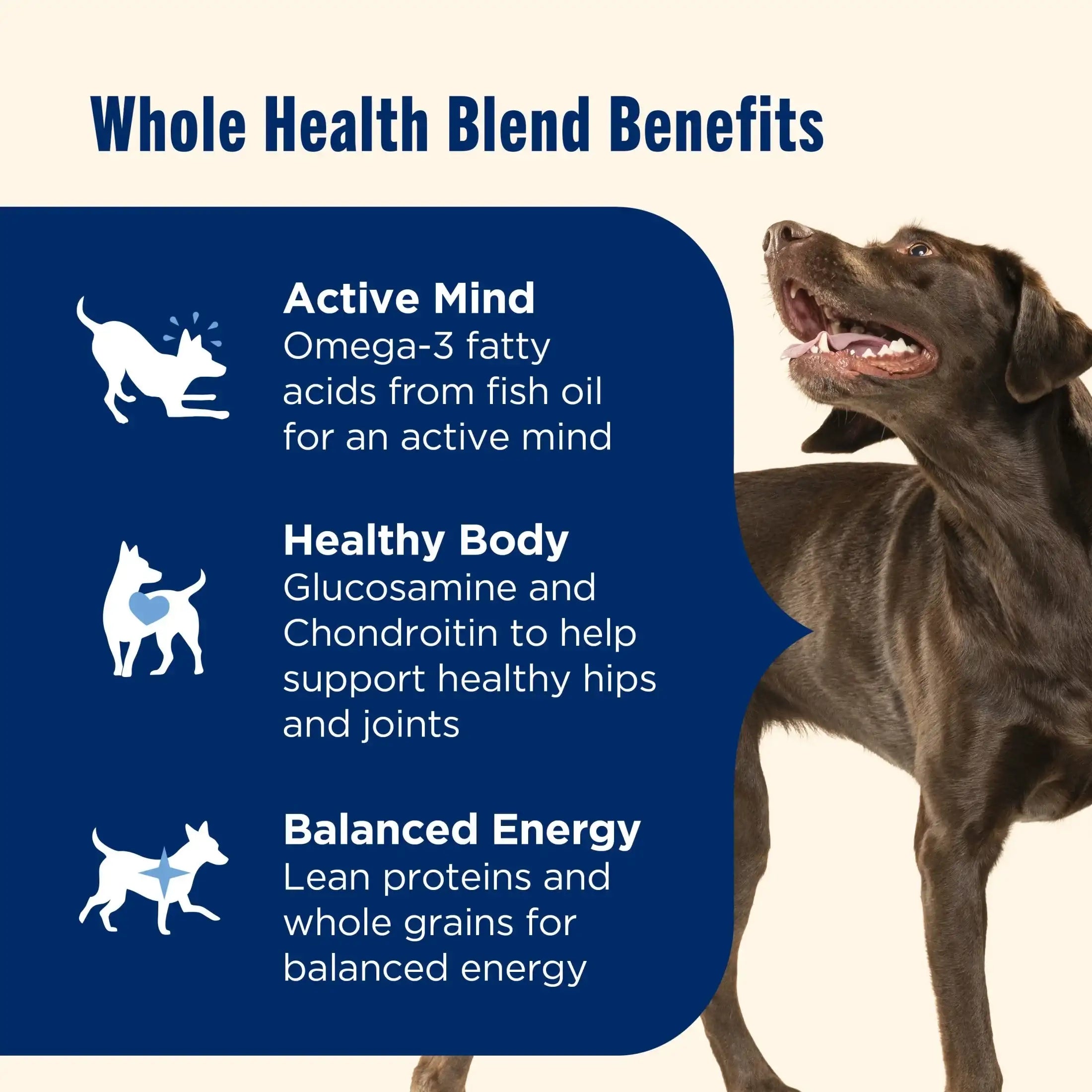 Nutrish Large Breed Real Beef, Pea, Carrot & Brown Rice Recipe Whole Health Blend Dry Dog Food, 14 lb. Bag (Rachael Ray)