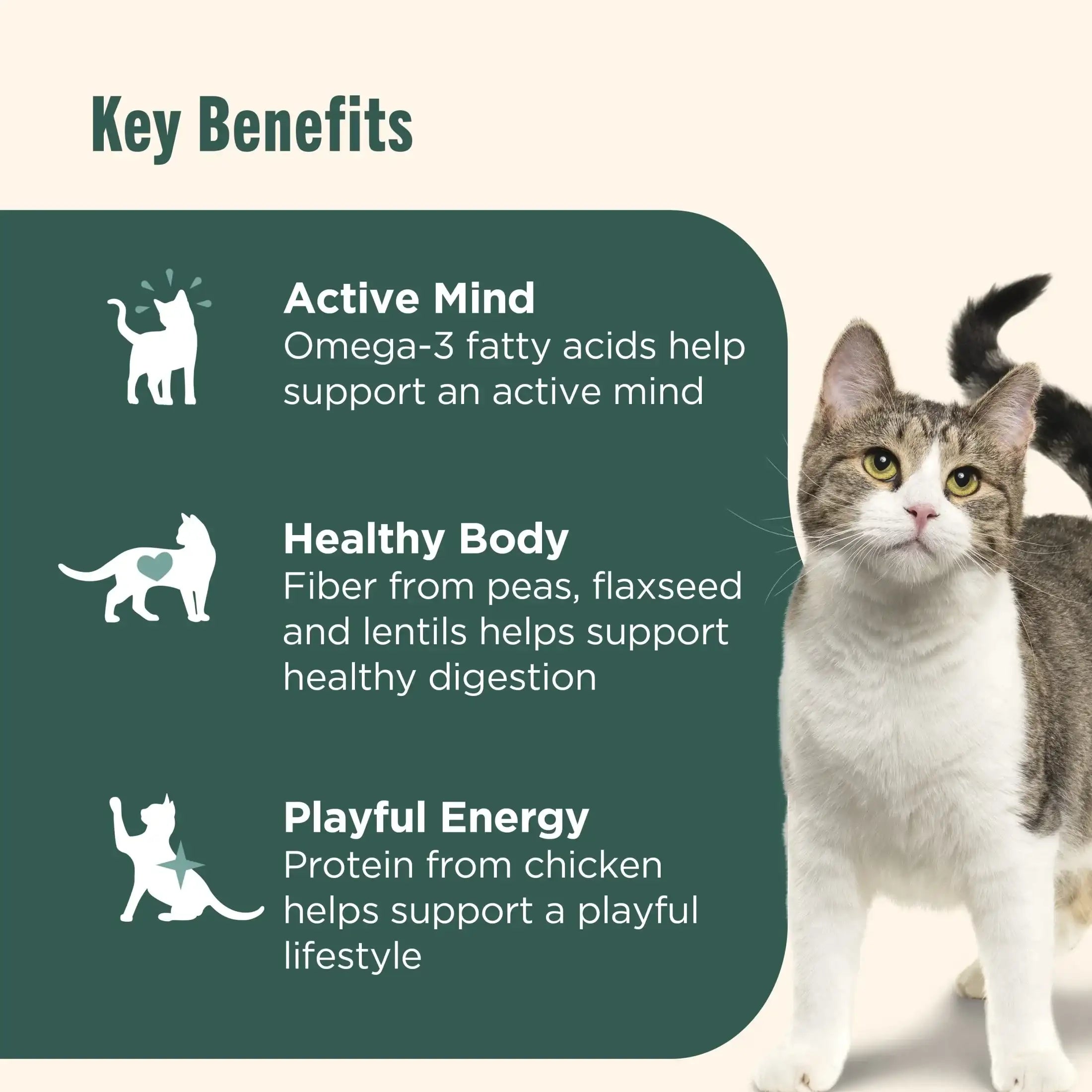 Nutrish Indoor Complete Chicken, Lentils & Salmon Recipe Dry Cat Food (Rachael Ray)