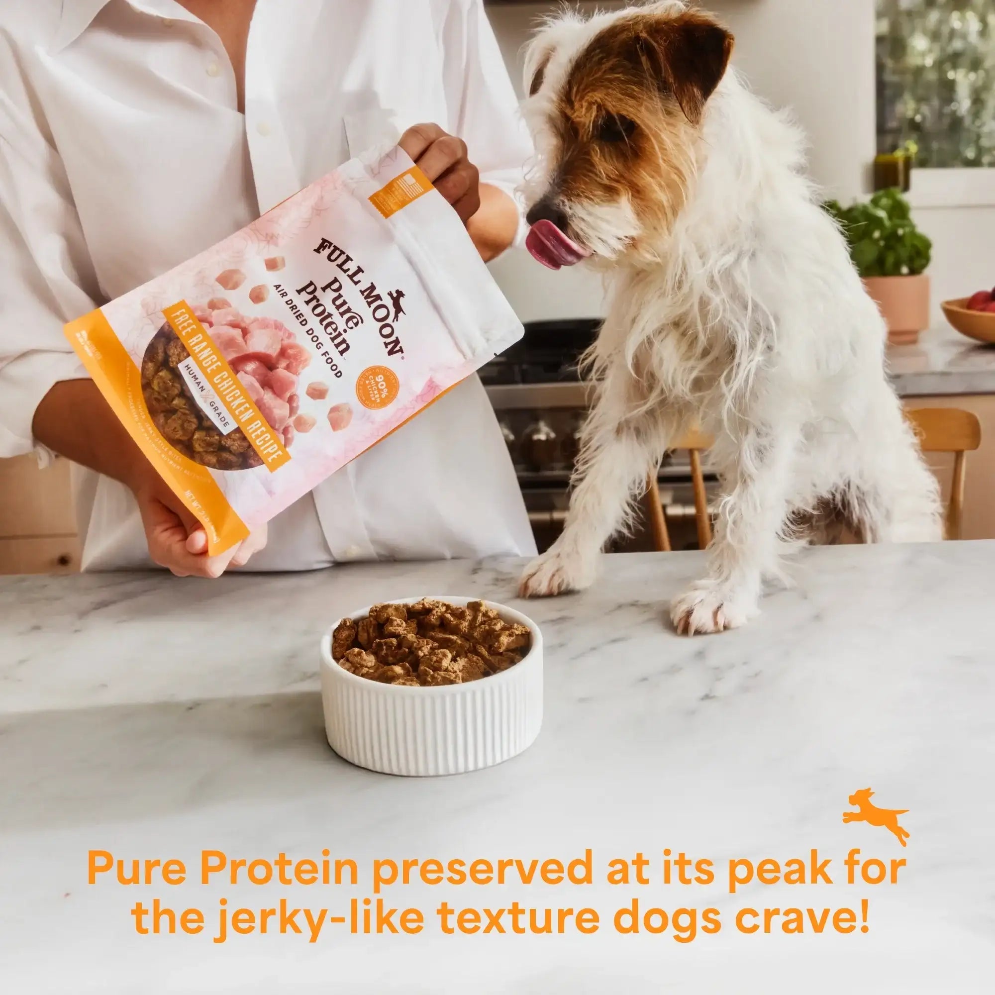 Full Moon Air Dried Beef Dog Food (Premium Feed, 16 Ounces)