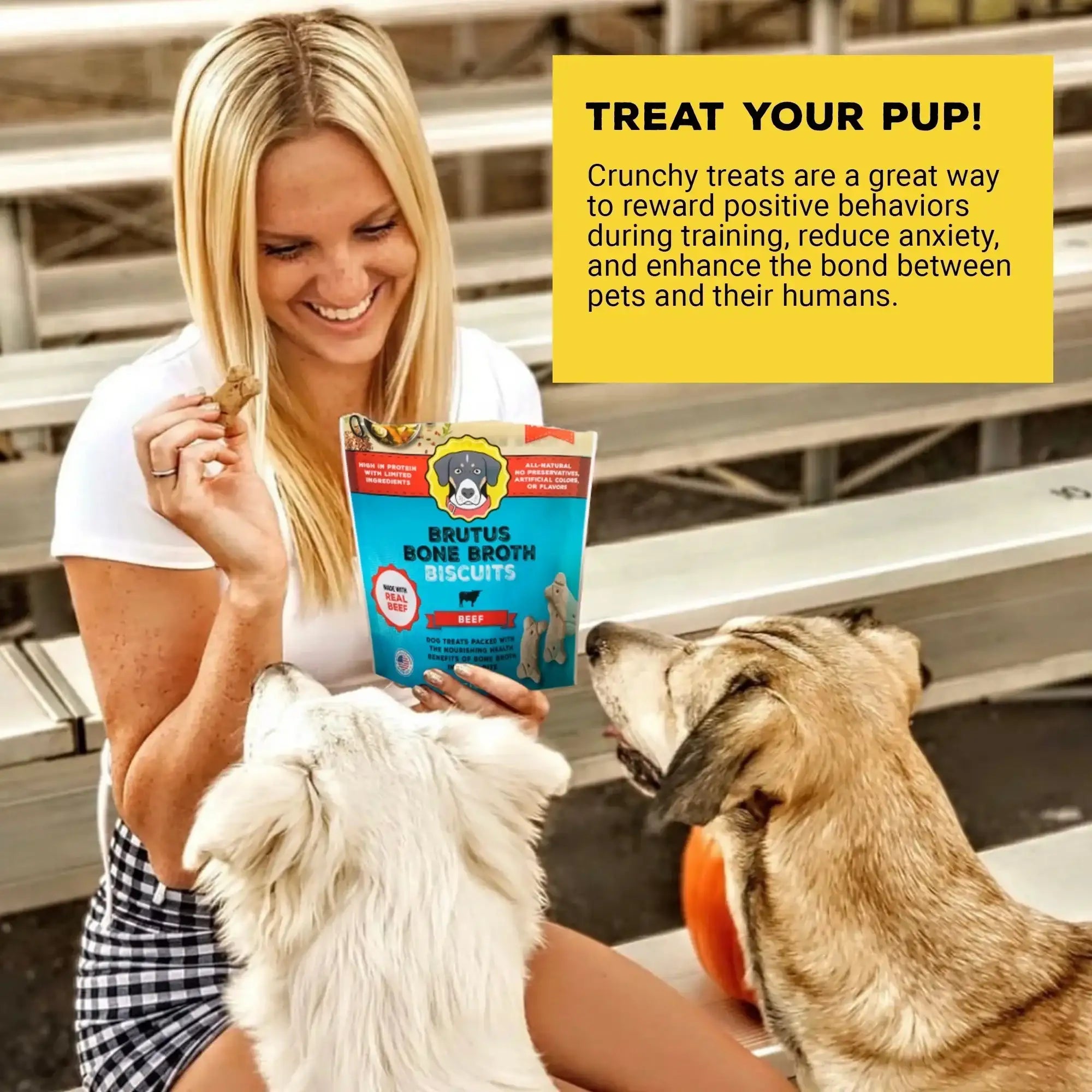 Brutus Bone Broth Biscuits (Beef) - Healthy Dog Treats - Pet Food Topper- Natural Dog Biscuits with Dog Bone Broth and Real Beef for Healthy Joints - 18 Grams of Protein - 8 OZ