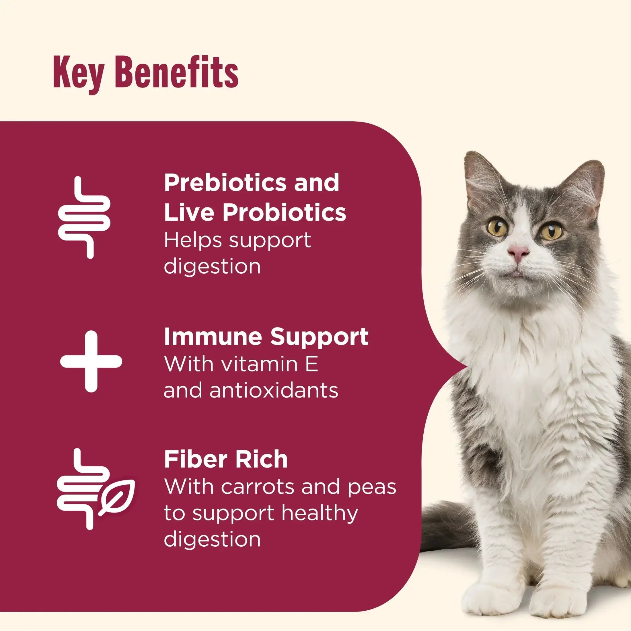 Nutrish Everyday Digestion Chicken Brown Rice and Salmon Recipe with Veggies Dry Cat Food, 13lb Bag